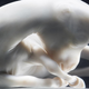 Illustration for article titled Incredible photo shows the peaceful alien beauty of a horse fetus